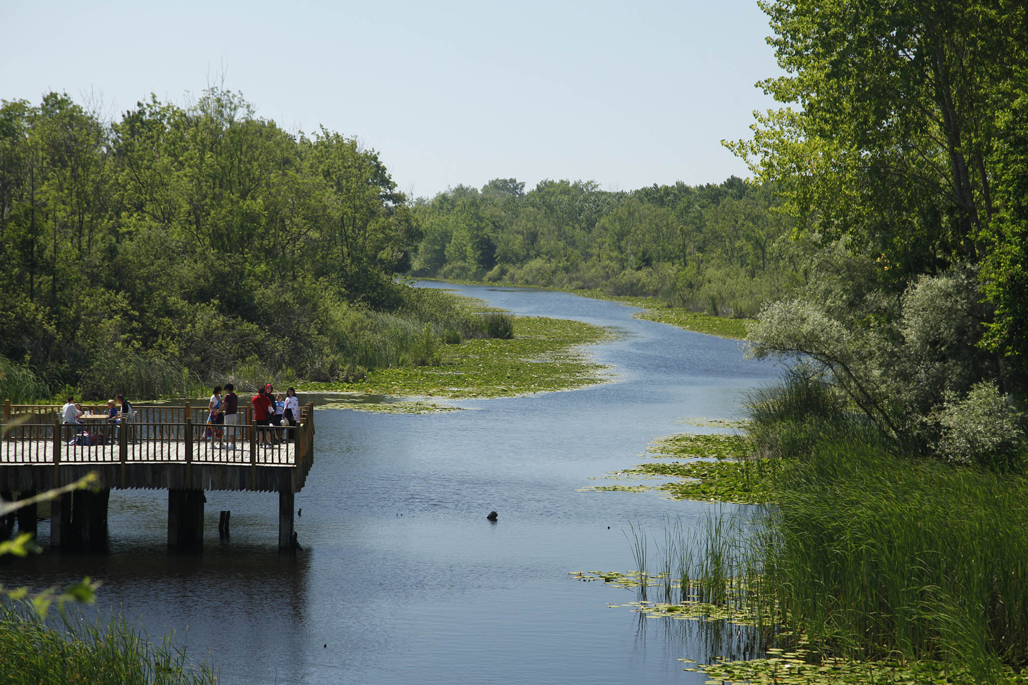 'Bu Şehir Hepimizin' hareketi başlıyor