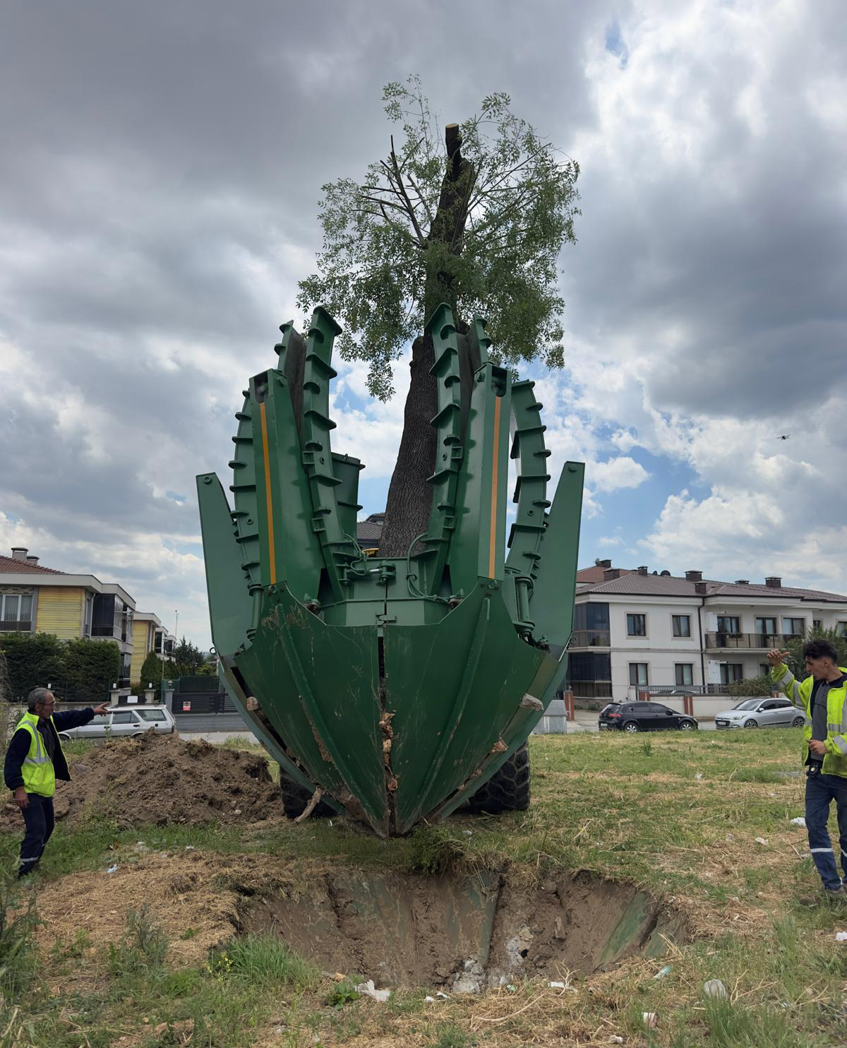 Sökülen her ağaç başka bir alanda yaşatılıyor