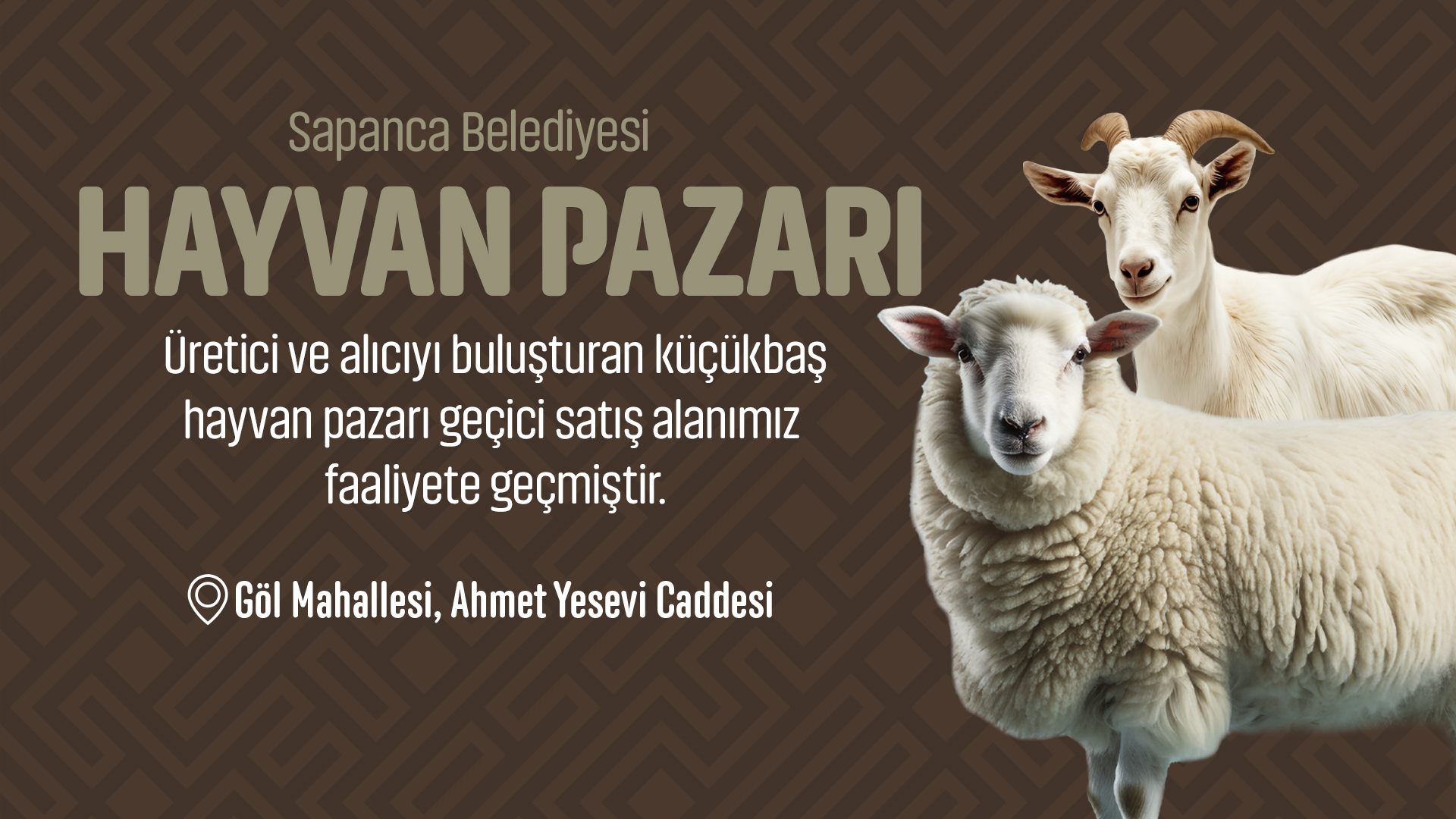 Sapanca Hayvan Pazarı faaliyete geçti