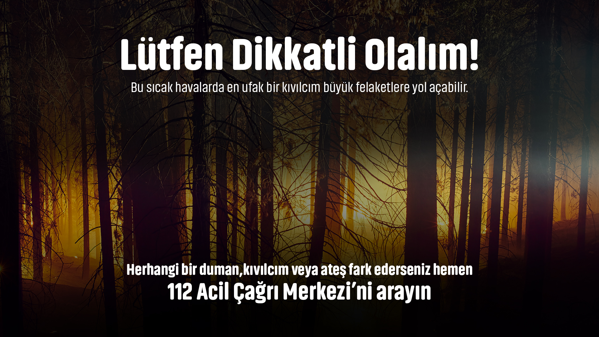 Sapanca'da yangına karşı uyarı