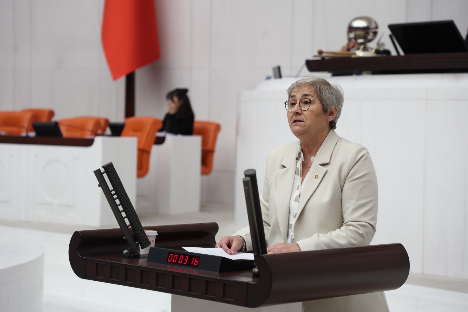 CHP'den Mudurnu Deresi için önerge