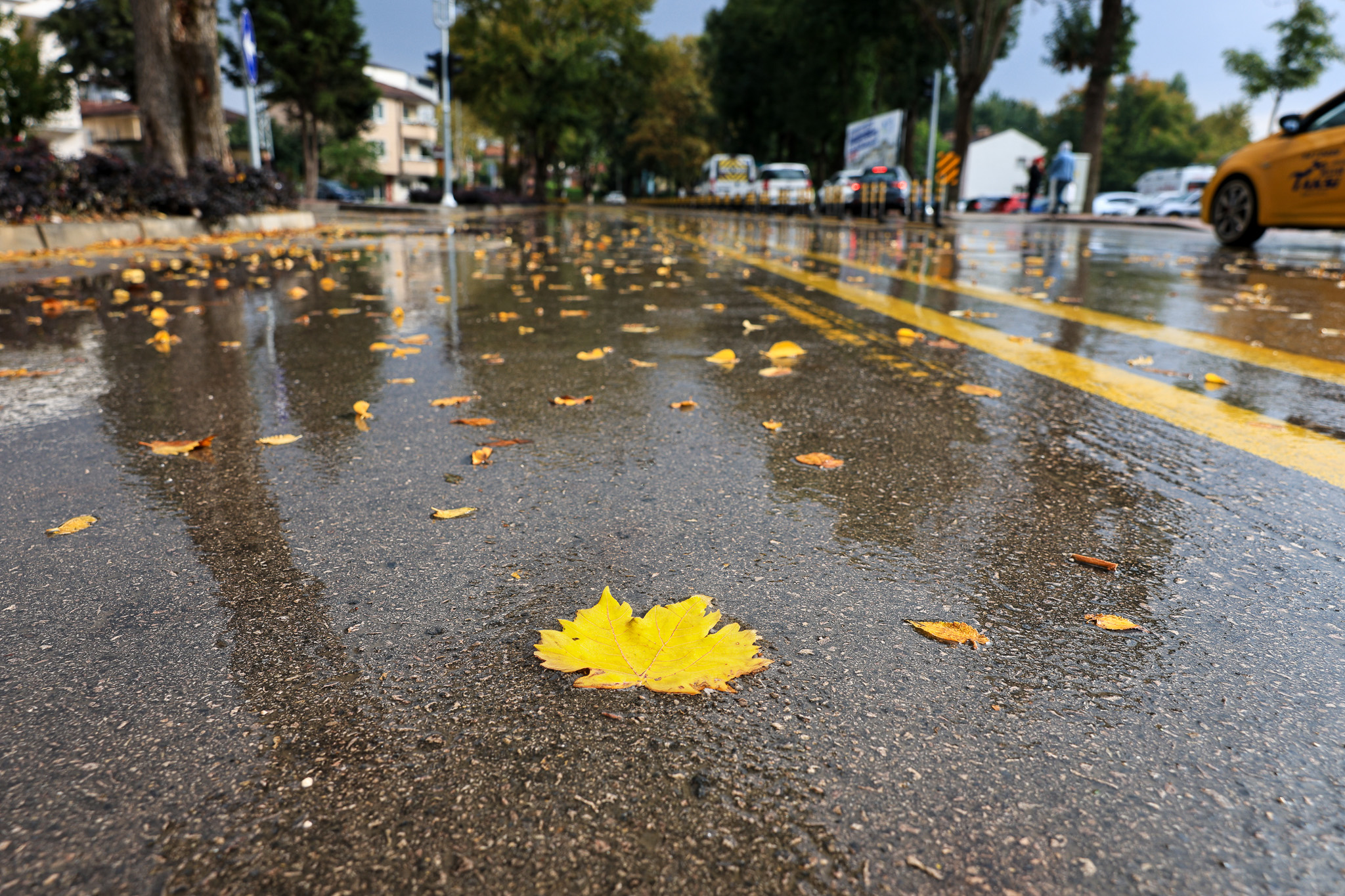 Rekor yağışta altyapı hatları sorunsuz çalıştı