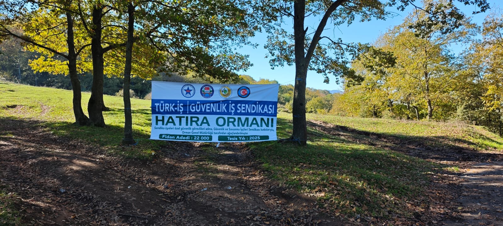 3 ilçede 22 bin fidan dikildi