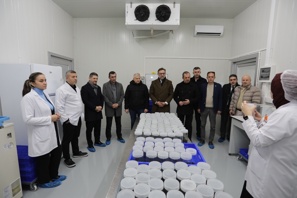 Bu merkez ekonomiye katma değer katacak