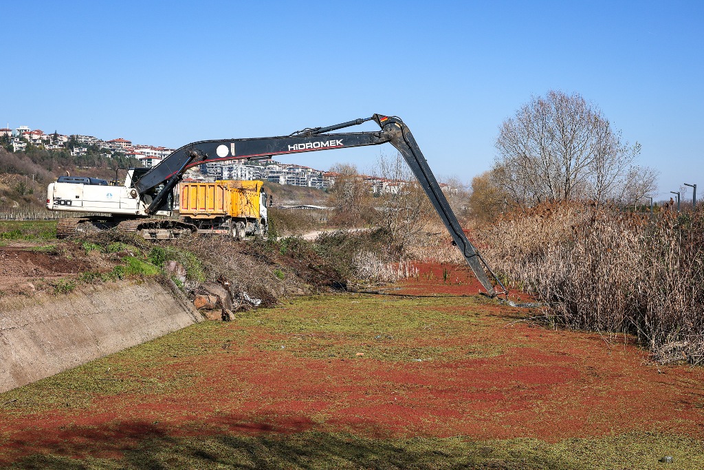 Dere yatağında kapsamlı arındırma