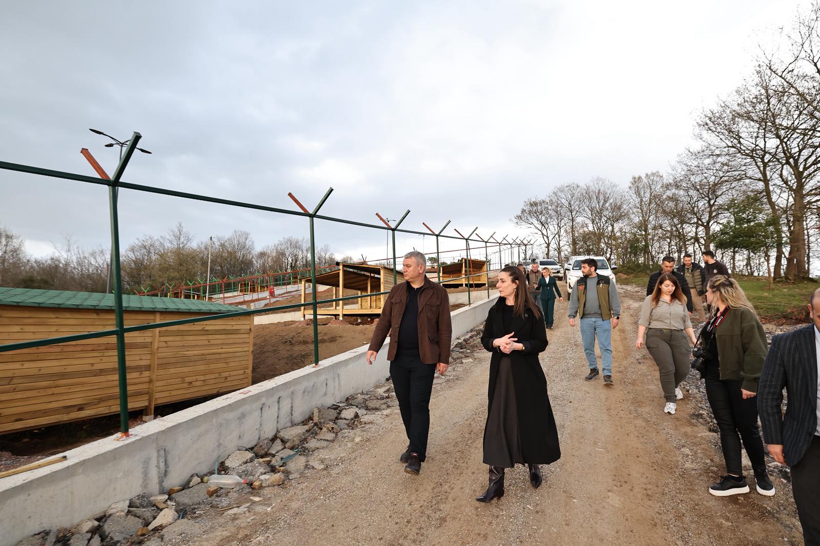 Serdivan’da Sokak Hayvanlarına özel mekan